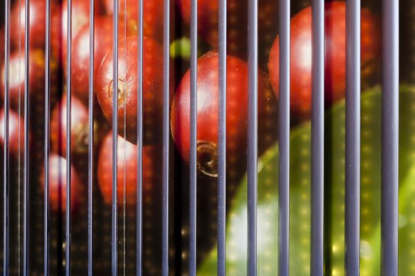 Nespresso Romont - © Photo Nicolas Repond