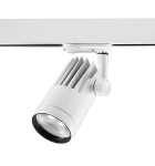 Beacon_Major_Spot_Blanc